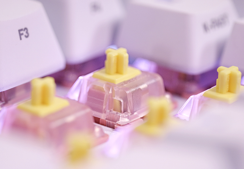 01 CHERRY XTRFY BLOSSOM quick 02