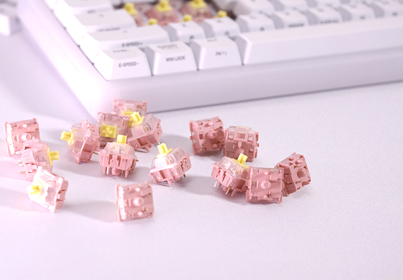 01 CHERRY XTRFY BLOSSOM quick 04