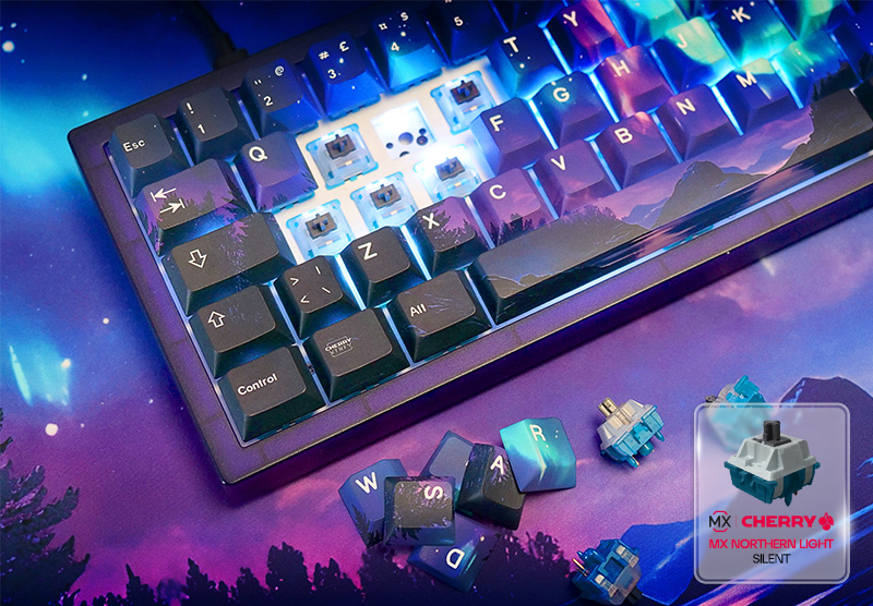 01 CHERRY XTRFY K5V2 NL quick